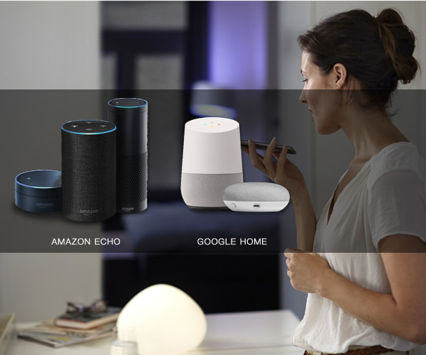 Smart Home integrate with Voice Control